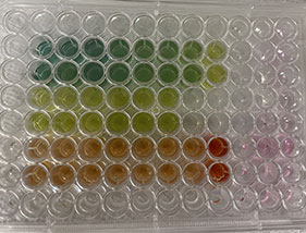 OrganRX™ CRO Services